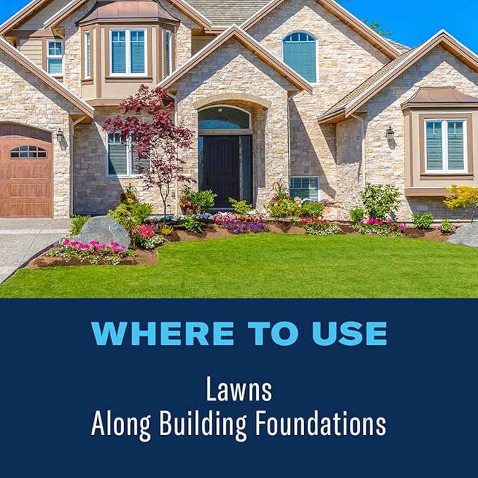 BioAdvanced Complete Brand Insect Killer for Soil and Turf, Ready-to-Spray, 32 oz, Outdoor Ant Killer