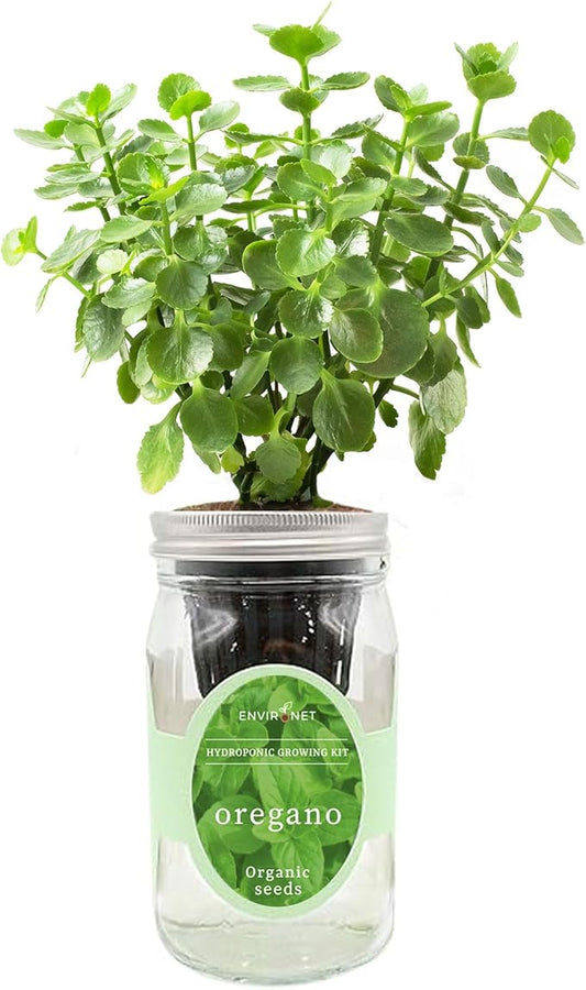 Hydroponic Herb Growing Kit, Self-Watering Mason Jar Herb Garden Starter Kit Indoor, Grow Your Own Herbs from Organic Seeds (Oregano)