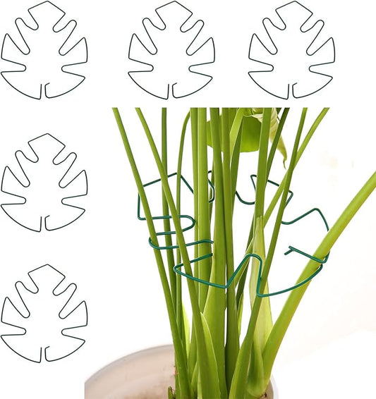 Spiritlele 5 Pcs Green Plant Stem Support Holder Set Monstera Plant Support Clamp Growth Accessories for Indoor Plants Small