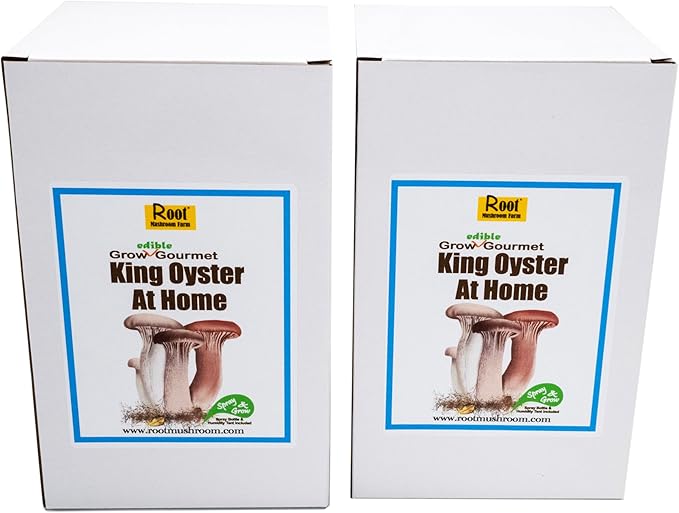 Two Mushroom Grow Kits, 3Lb Each (Two King Oyster Kits)