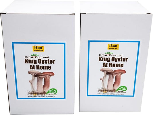Two Mushroom Grow Kits, 3Lb Each (Two King Oyster Kits)