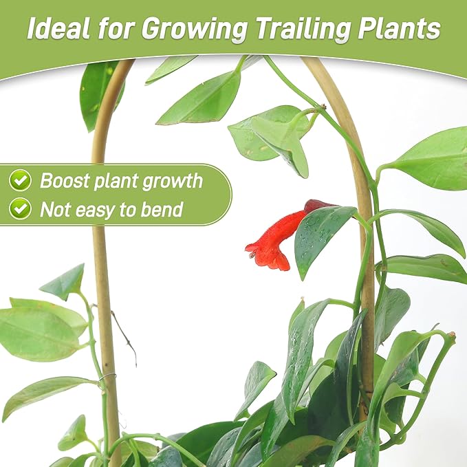 Avalution 16" Natural Bamboo Plants Trellis U-Hoop,Bamboo Gaeden Trellis U-Shape for Climbing Plant Support-10PCS