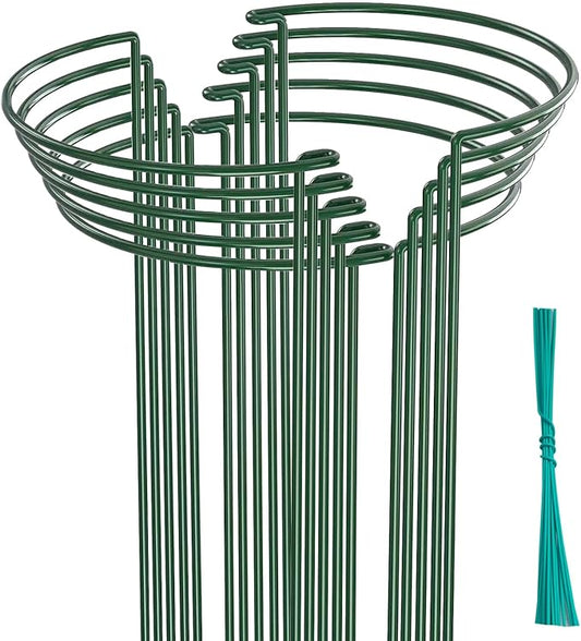 10 Pack Plant Support Stakes, 4 mm Thick 24 Inch Half Round Metal Garden Stakes, Plant Support Cages Ring for Peony Tomato Hydrangea Rose Flower Indoor Outdoor (10" Wide x 24" High)