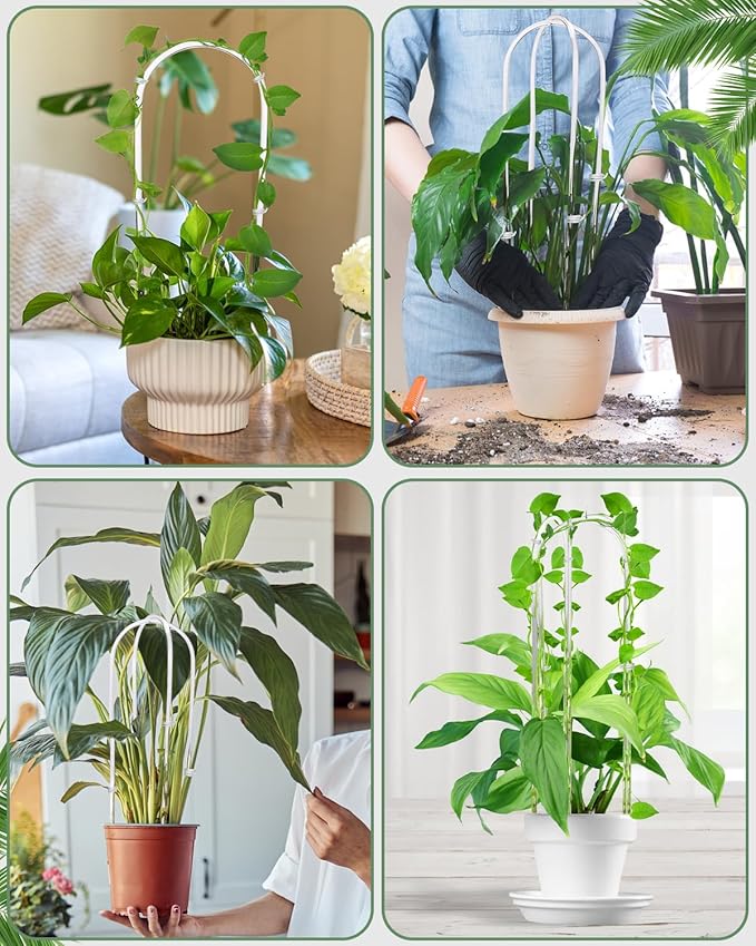 3 Pack Larger Acrylic U-Shaped Hoya Trellis, 16 Inch Indoor Climbing Plant Trellis for Plants Support with 15 Ties, Small Garden Trellis Houseplant Accessory for Potted Ivy Outdoor