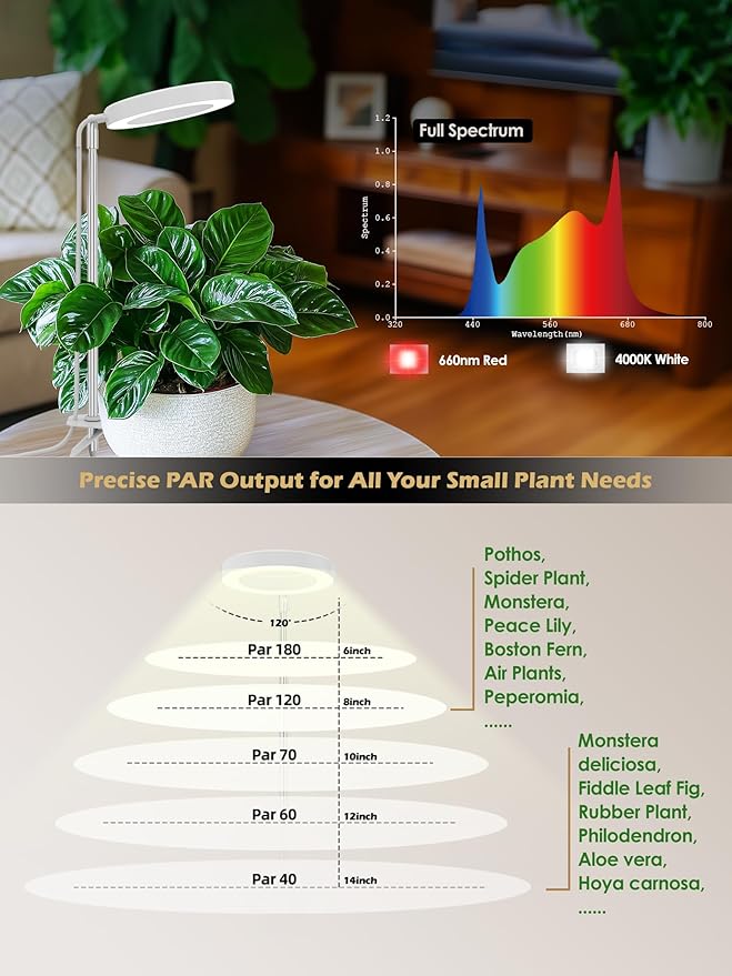 GLOWRIUM Grow Light for Indoor Plants, 12W Full Spectrum Plant Lights with Timer, Height Adjustable&10 Dimmable Brightness, Mini Halo Grow Lights for Small Plant (2025-white, 12w)