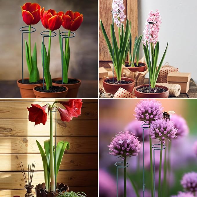 2 Pack (DIY) Plant Support Stakes, Three Sizes (12 or 24 or 36 inch) Plant Support Rings with 20 Pcs Plant Twist Ties, Garden Stake for Indoor Outdoor Plant Flowers, Amaryllis, Tomatoes