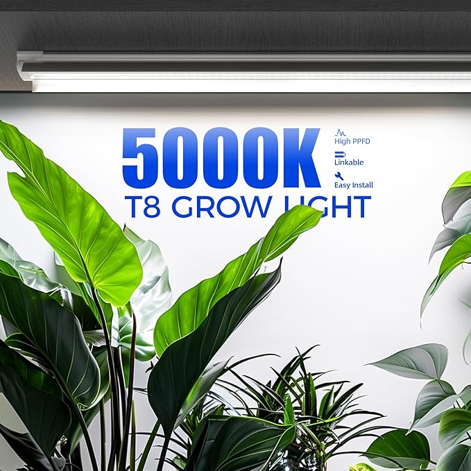 Barrina T8 Grow Lights for Indoor Plants, 4FT Full Spectrum Grow Light, 168W(4 x 42W), Plant Lights for Greenhouse Indoor Growing, V-Shape with Reflector, Linkable, 5000K Daylight White, 4 Packs