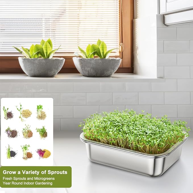 FANHAO 2-Pack Sprouting Tray Kit, Stainless Steel Soil-Free Cultivation Germination Tray, Healthy Wheatgrass Grower Sprouting Container Kit Nursery Tray for Indoors Plant Seedlings