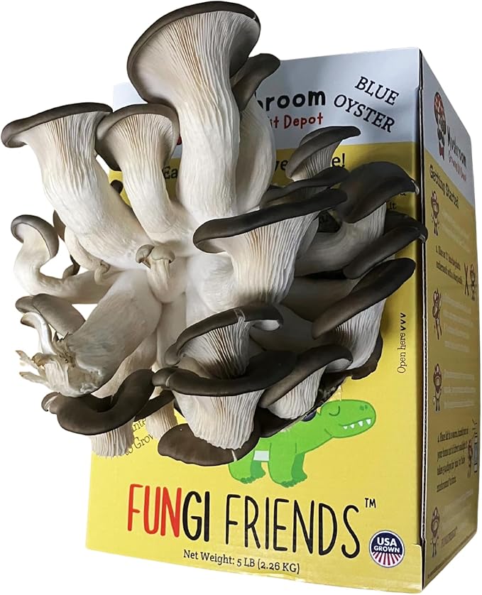 1 Humidity Tent Bundle + 1 FUNGI FRIENDS Blue Oyster Mushroom Grow Kit (5 lbs) | Mushasaurus | Beginner-Friendly & Easy to Use | Handmade in USA