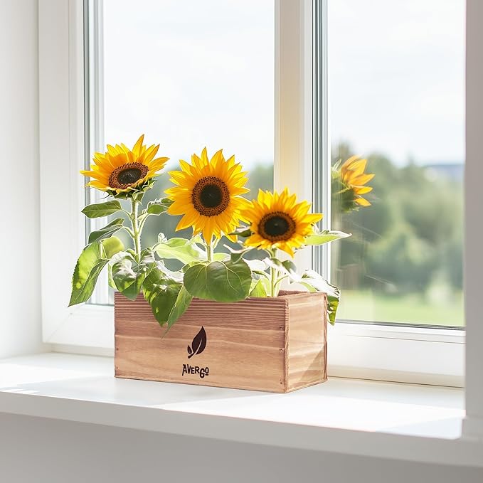 Sunflower Seeds Growing Kit – Complete Seed and Plant Indoor & Outdoor Kit with Sunflower Seeds for Planting, Planter, Soil, Tools, Instructions – Ideal for Planting Sun Flowers at Home