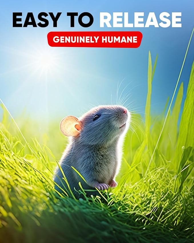 Motel Mouse Humane No Kill Live Catch and Release Mouse Traps, Reusable with Cleaning Brush - 2 Pack