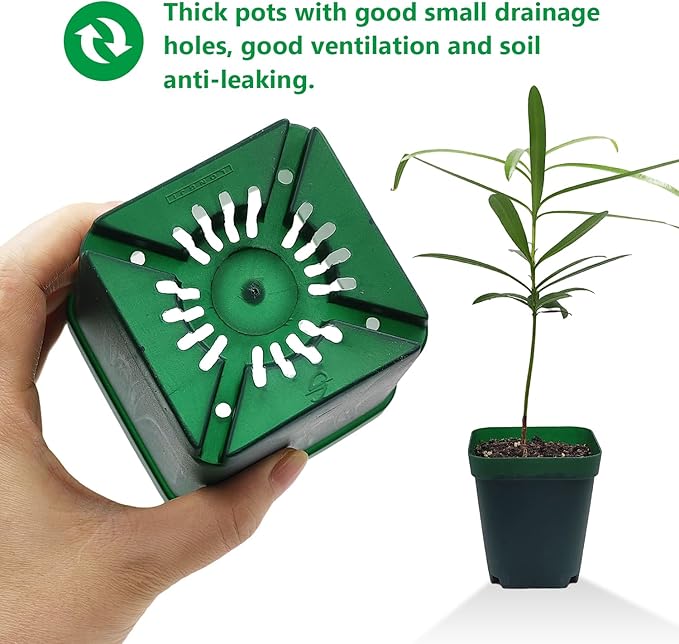 Square Nursery Pots Clearance (2.7", 3", 3.5", 4") with Drainage Holes 20 Pcs, Plastic Seed Starting Pots, Sturdy and Durable Seedling Pots for Planting, Cuttings and Transplanting, Green