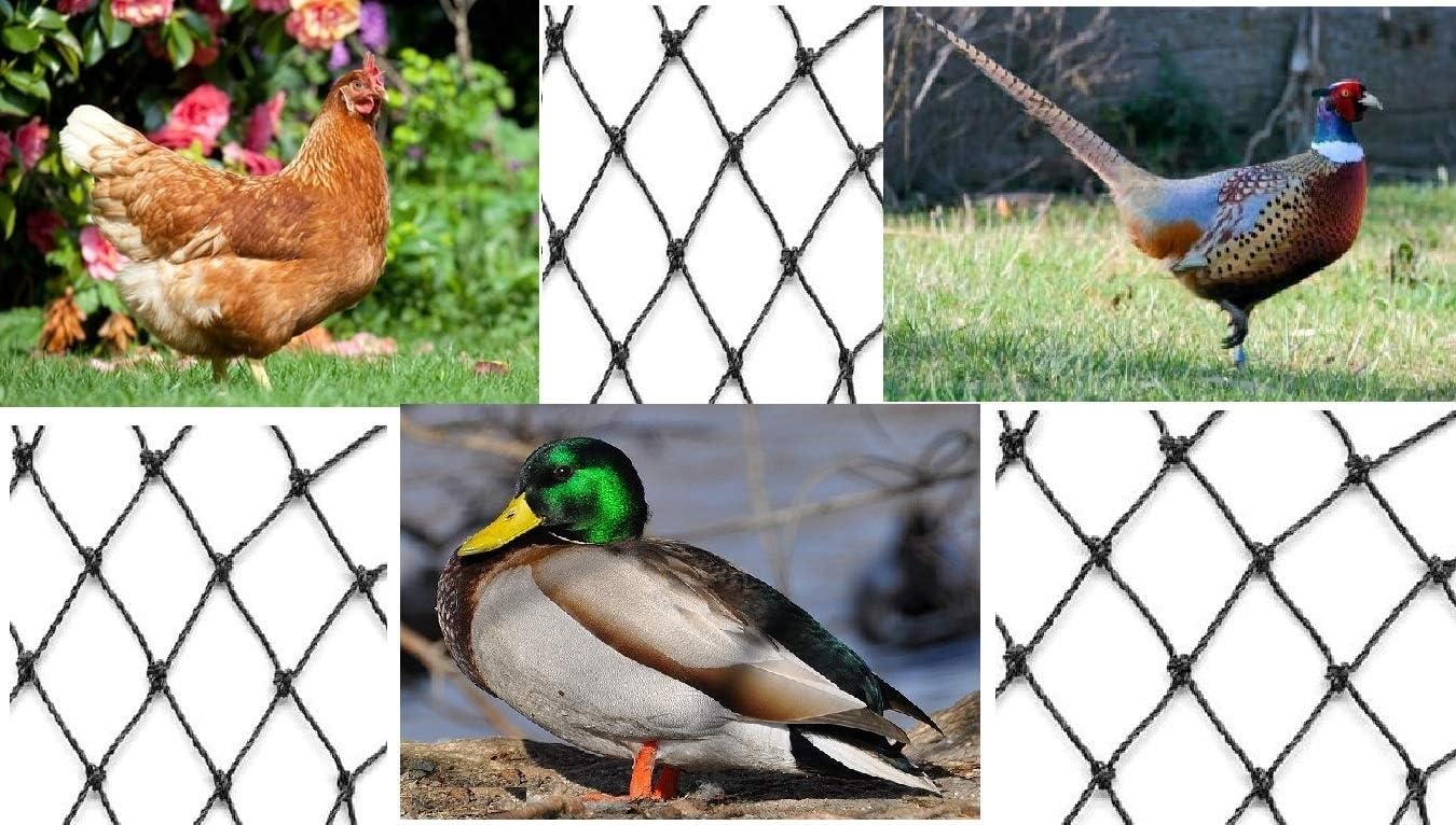 Excursions Aviary Netting Heavy Knotted 2 inch Poultry Net (50 ft x 150 ft)