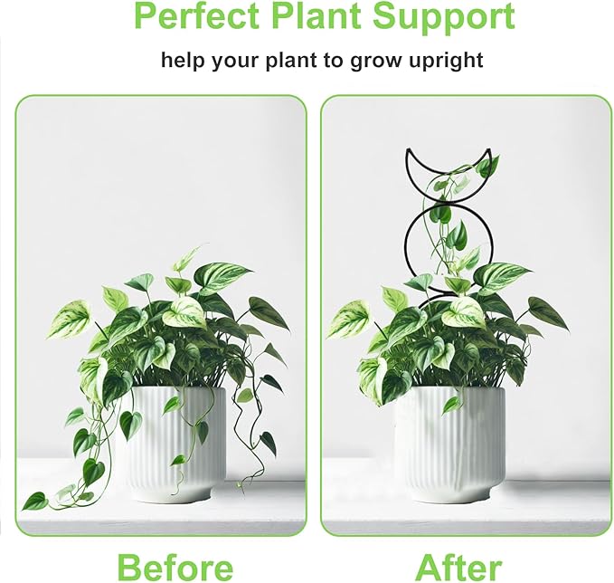 4 Packs Trellis for Climbing Plants Indoor, HENABLE Small Garden Metal Trellis for Potted Plants Outdoor for Vine Ivy Flower Plant Support, 4 Different Black Iron Patterns