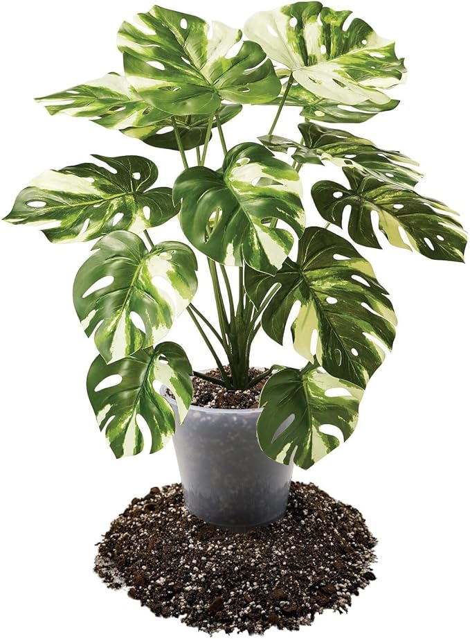 Premium Aroid Potting Mix - 20 Quart - Soil Free Blend for Aroids - Growing Medium for House Plants by Gardenera - (4 Bags of 5 Quart)