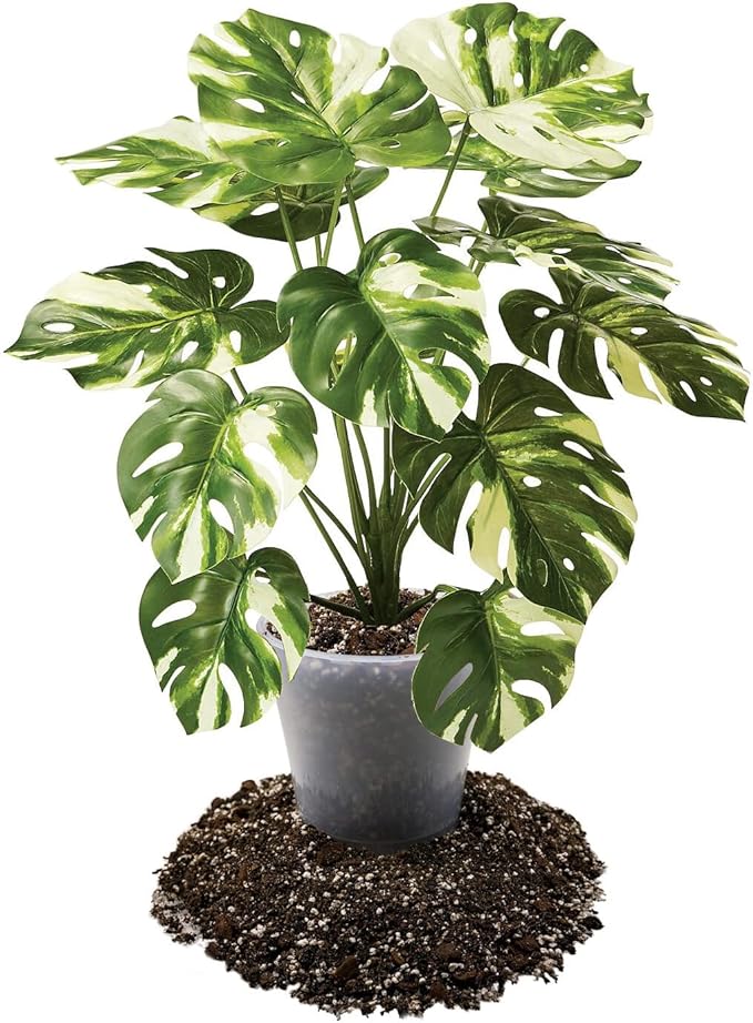 Premium Aroid Potting Mix - 10 Quart - Soil Free Blend for Aroids - Growing Medium for House Plants by Gardenera - (2 Bags of 5 Quart)