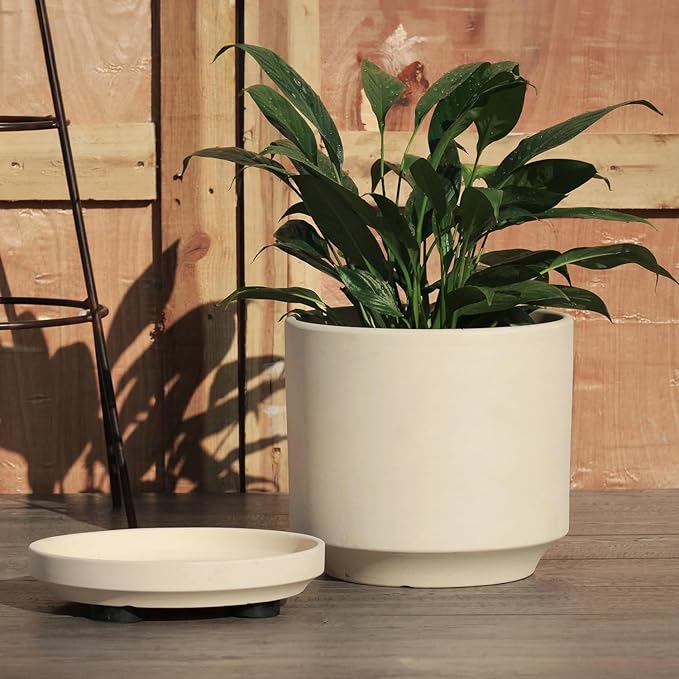 Mid Modern Planter with Detached Saucer (Ivory Clay,12.0" D x 10.5" H)