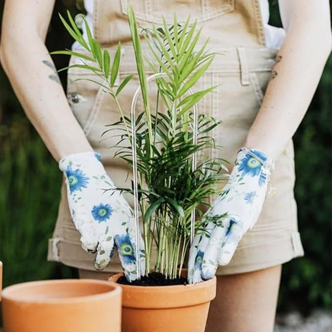 2 Pack U-Shaped Clear Acrylic Trellis for Indoor Plants, Small Plant Trellis for Potted Plants Climbing Plants, Plant Support Hoya Trellis for Vine Ivy Hoya Indoor Outdoor