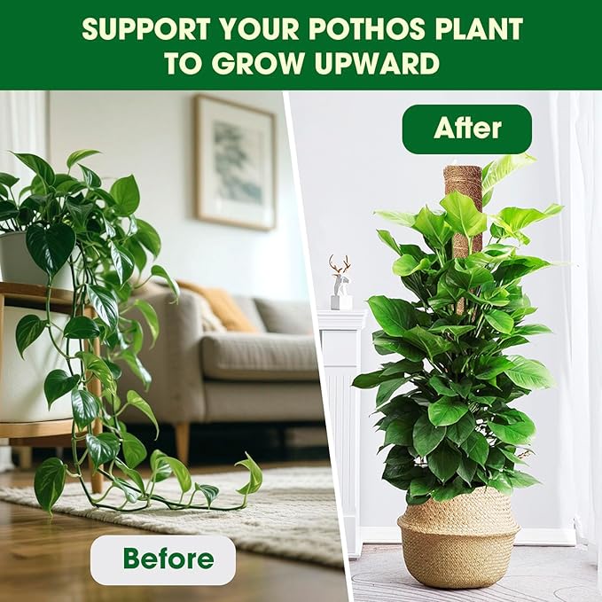 Moss Pole, 2 Pack 21 Inch Monstera Plant Support for Climbing Plants, 36 Inch Tall Stackable Plant Stakes for Indoor Plants Coco Coir Moss Pole Sticks Support for Potted Pothos, Philodendron