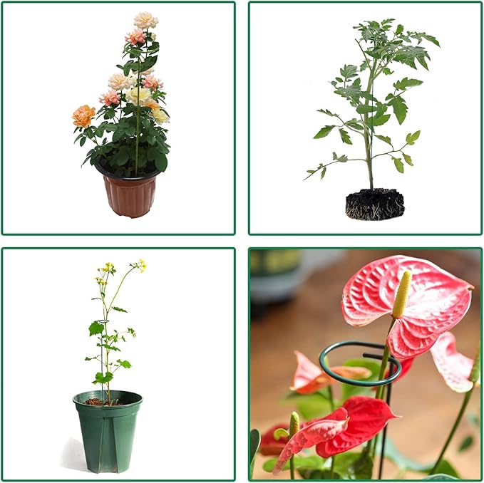 12 Pack Plant Stakes,Plant Support Stakes for Two Sizes(16 or 32 Inches),Plant Stakes for Outdoor Plants,Garden Flower,Tomato(Green)