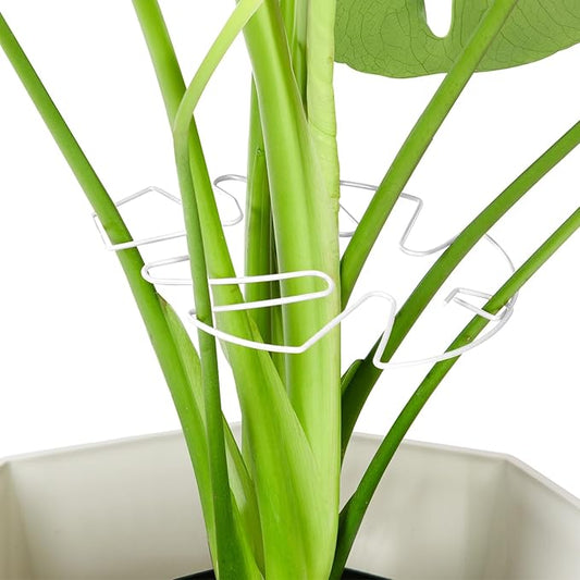 10PCS Iron Monstera Plant Support, Uniquely Designed Indoor Plant Accessories, Stable Plant Support Stakes for Indoor Plant, Turtle Shell Bamboo Clamp Set for Thriving Growth