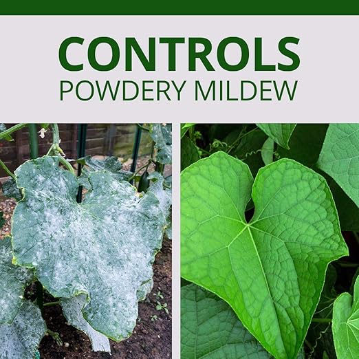 Humboldts Secret Flower Shield | Insecticide, Pesticide, Miticide, Fungicide | Bug Spray for Plants | Spider Mite & Powdery Mildew Control | Indoor & Outdoor | Houseplant & Garden | 128 Ounce