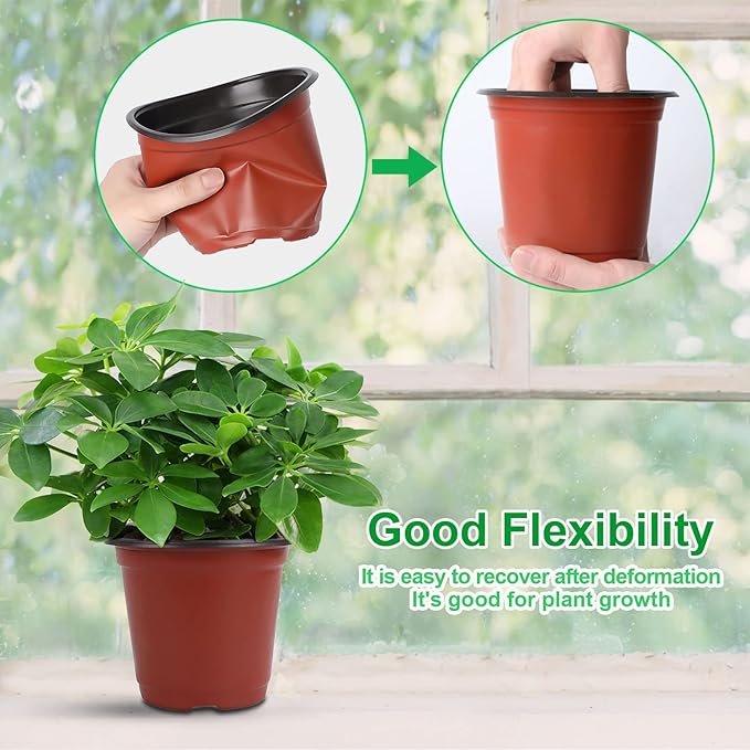 Augshy Nursery Pot, 75 Pcs 4", 5", 6" Plastic Plant Nursery Seed Starting Pots for Indoor Outdoor Succulent Seedling Cutting Transplanting