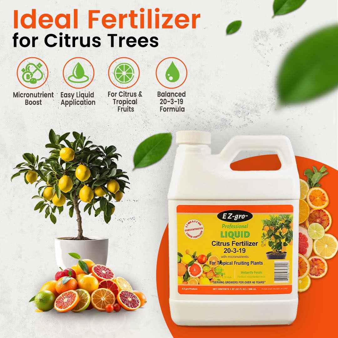 Citrus Tree Fertilizer - Orange, Lemon, Lime, Mango, Avocado - Citrus Fertilizer for Tropical Fruit Trees to Grow More Fruit - Garden-Growing Miracle Nutrients - 1 Qt / 32 fl oz / 946 mL