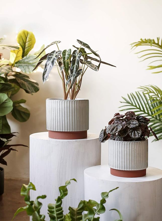 LE TAUCI Ceramic Pots for Plants, 8+6.7+5.5 Inch Plant Pots Indoor, Flower Pot with Drainage Holes, Medium Cylinder Planters for Indoor House Plants, Set of 3, Reactive Glaze White