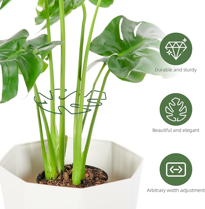 10PCS Iron Monstera Plant Support, Uniquely Designed Indoor Plant Accessories, Stable Plant Support Stakes for Indoor Plant, Turtle Shell Bamboo Clamp Set for Thriving Growth