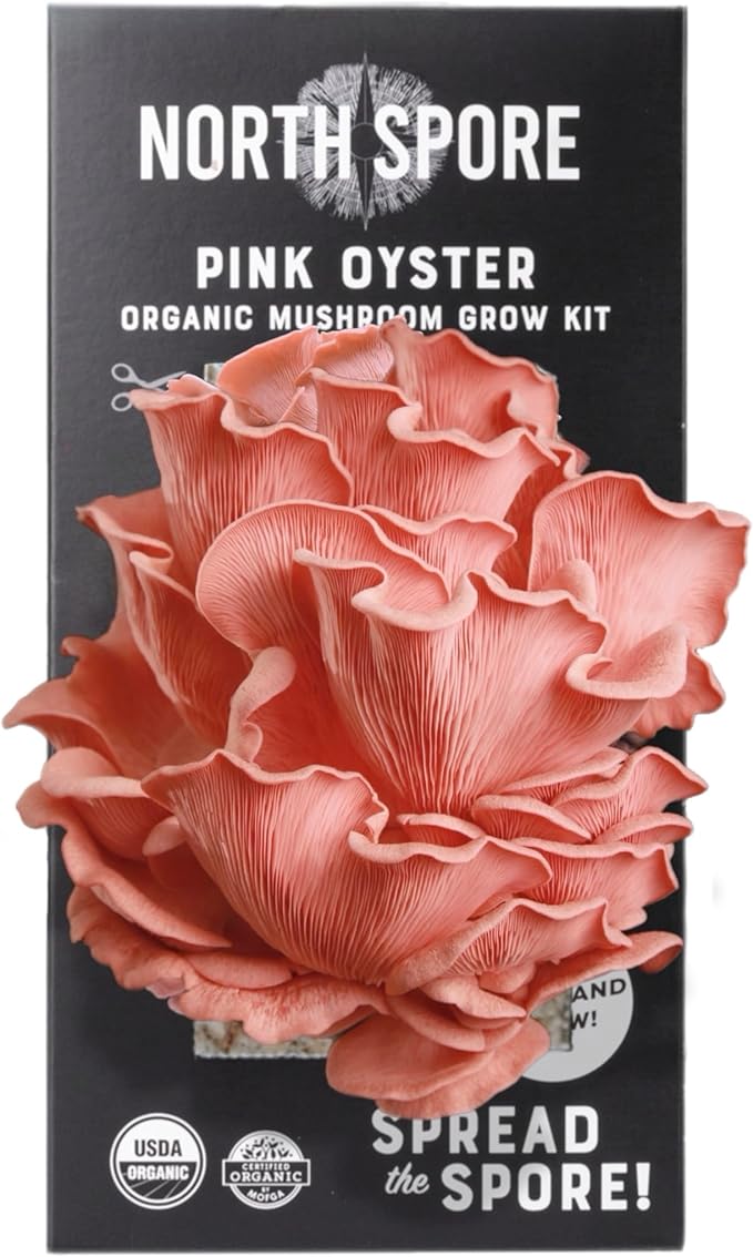 North Spore Organic Pink Oyster Mushroom Spray & Grow Kit (4 lbs) | USDA-Certified Organic, Non-GMO, Beginner-Friendly & Easy to Use | Handmade in Maine, USA