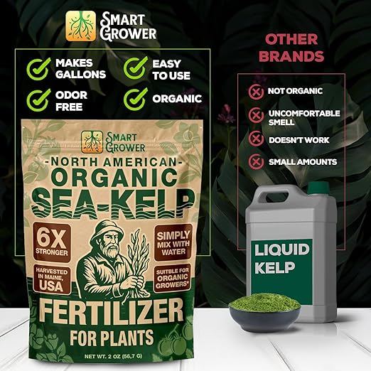 Organic Sea Kelp Fertilizer for Plants – Water-Soluble – Makes 50 Gallons – Kelp Meal Concentrate Plant Food – for Indoor Gardens, Hydroponics, Vegetables, Houseplants - Smart Grower - 2oz Bag