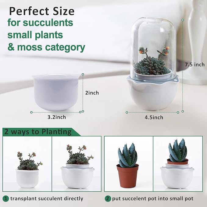 Smart Venus Fly Trap Terrarium Pot with Timer&Fan,Succulent Planter with Grow Light,Indoor Plant Terrarium Kit for Carnivorous Plants,Sundew Moss,Cactus, for Dad (No Plant)