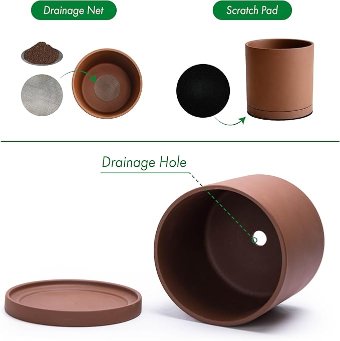 D'vine Dev 6 Inch Rust Terracotta Plant Pot with Drainage Hole and Saucer, Round Cylinder Planter Pot for Indoor Plants, Set of 2, 40-V-C-2