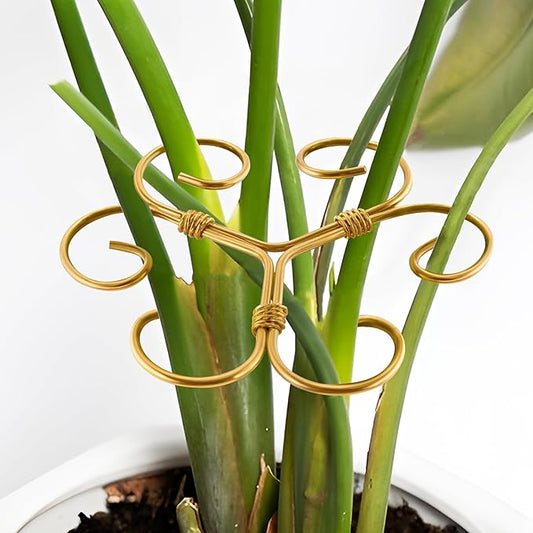 5PCS Iron Monstera Plant Support, Plant Stem Support, Turtle Shell Bamboo Clamp Set, Stable Plant Support Stakes for Indoor Plant, Ideal Present for Plant Lovers (5 Pcs-4.1INX4.1IN)