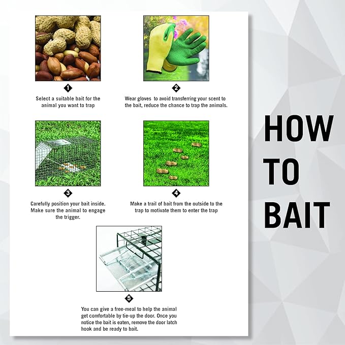 HOMESTEAD 2-Pack Live Animal Trap - Specialized for Raccoons, Opossums, Groundhogs, Skunks, Feral Cats, Squirrels - Heavy Duty Steel Traps, 1-Door, Green, Humane Catch & Release Animal Trap,89-302