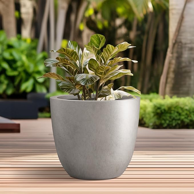 Kante 10 Inch Dia Round Concrete Planter, Indoor Outdoor Large Plant Pot with Drainage Hole and Rubber Plug for Home Patio Garden, Buff Concrete