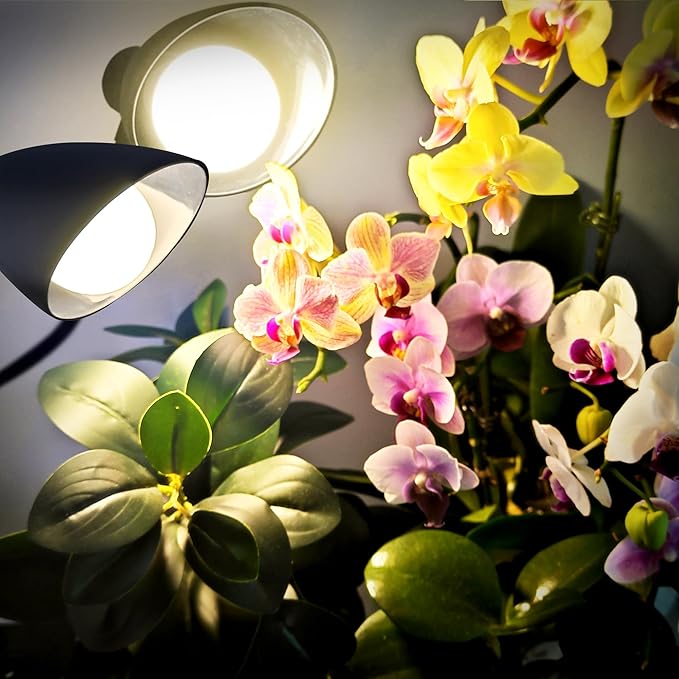 Grow Lights for Indoor Plants, Briignite Full Spectrum Grow Light Dual Head, 22W LED Clip On Grow Lights 200W Equivalent, Bulbs Replacement, Adjustable Gooseneck Grow Light for Seed Starting Indoor