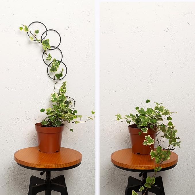 17PCS Metal Trellis for Climbing Plants Indoor/Outdoor - Pothos Plant Climber Support, Wall Trellis, Vine Plant Support, Garden Lattice for Climbing Plants - Small Indoor Hanging Trellis