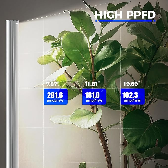 Barrina T1S Standing Grow Light for Indoor Plants with Timer, 65W 5000K High PPFD Tera Series Vertical Full Spectrum Grow Lights Adjustable Height 5FT-5.6FT, Foot Switch, Non-Glare Design, Silver