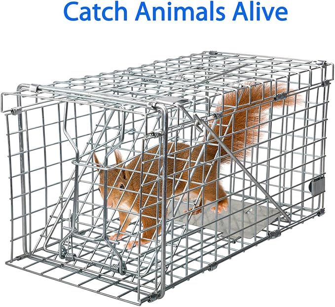 Gingbau Foldable Squirrel Trap Heavy Duty Humane Live Animal Cage Trap - 17.3” x 7.4” x 8.2”