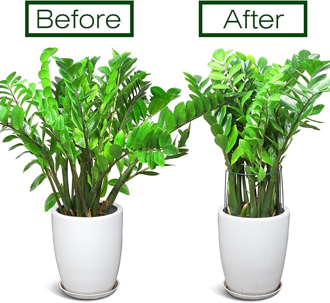 LEOBRO Plant Support Stakes, 4 PCS Plant Stakes, Plant Support, Peony Cages and Supports, Garden Stakes, Plant Stakes for Indoor Outdoor Plants, Hydrangea Support Cage, 10" W x 15.8" H