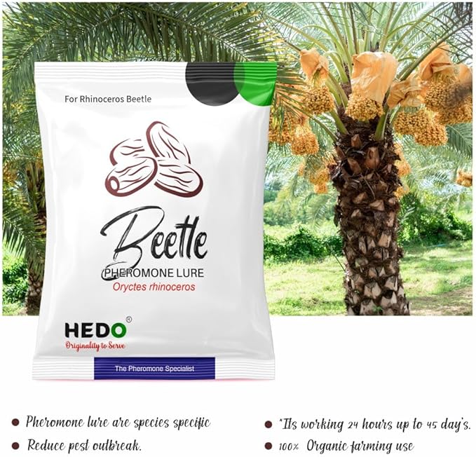 HEDO Pack of 10 Rhinoceros Beetle Pheromone Trap with Lure and Bucket Trap to Control Damage in Coconut