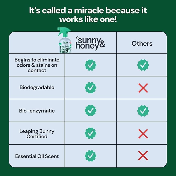 Sunny & Honey Pet Stain & Odor Miracle - 32 Fl Oz, Spring Mint Scent - Carpet Cleaner & Enzyme Spray for Carpets, Mattresses & Upholstery - Rug Shampoo & Dog Pee Cleaner & Odor Remover