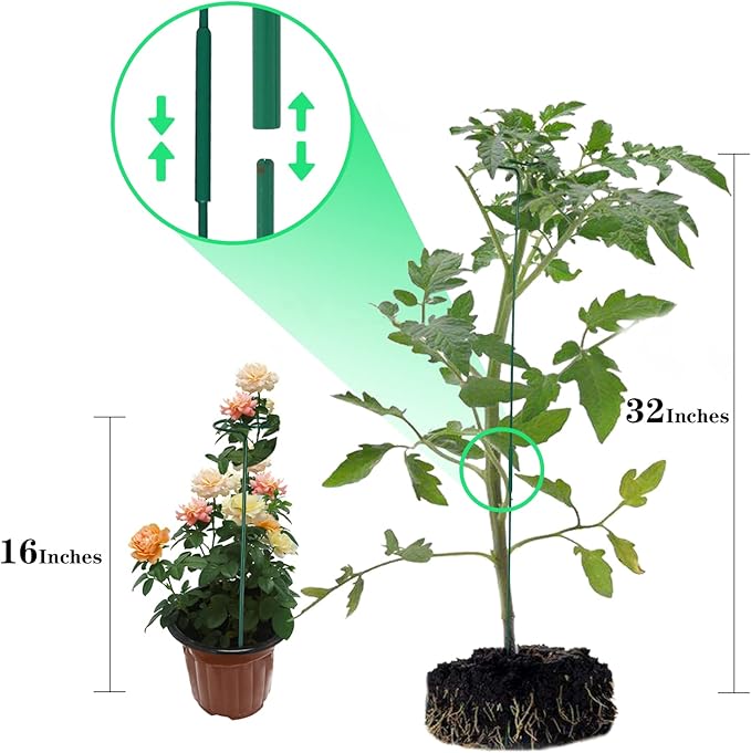 4 Pack Plant Stakes,Plant Support Stakes for Two Sizes(16 or 32 Inches),Plant Stakes for Outdoor Plants,Garden Flower,Tomato(Green)