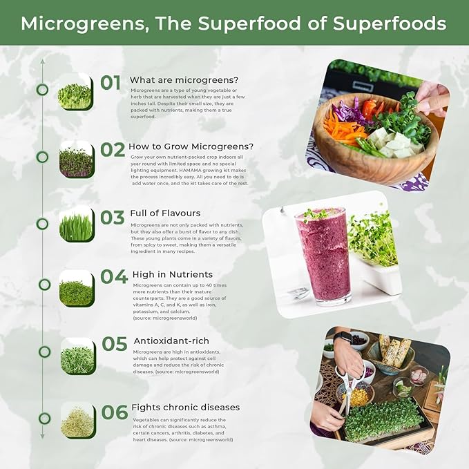 HAMAMA Microgreens Growing Kit Broccoli & Salad - Indoor Sprouts Mat - Seed Quilts Easy Setup Pack of 2 - Plastic Tray and Bamboo Frame