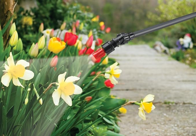 Solo 430-2G 2-Gallon Farm and Garden Sprayer with Nozzle Tips for Multiple Spraying Needs