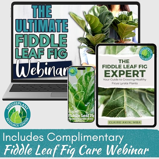 100% Organic Fiddle Leaf Fig Soil – Optimally-Draining Potting Mix for Healthy Roots, Fewer Brown Spots & Faster Growth | Enriched with Biochar & Bark | Made in USA | Large 7.5L Bag