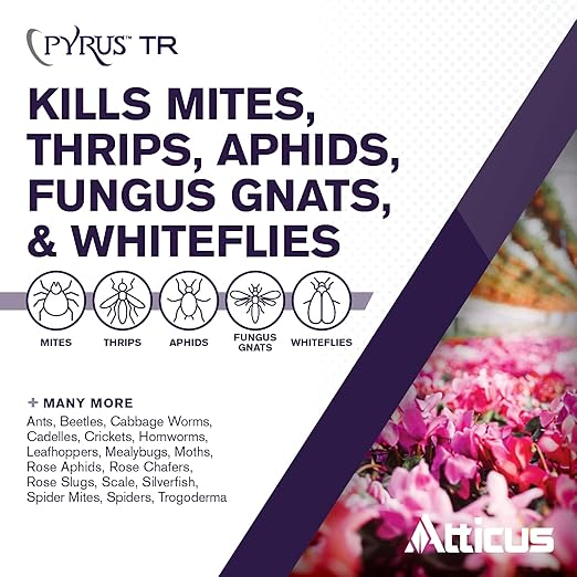 Atticus Pyrus TR Greenhouse Fogger (2oz) - Total Release Pyrethrin Insecticide/Miticide - Controls Mites, Thrips, Aphids, Whiteflies, and Fungus Gnats (Packaging May Vary)