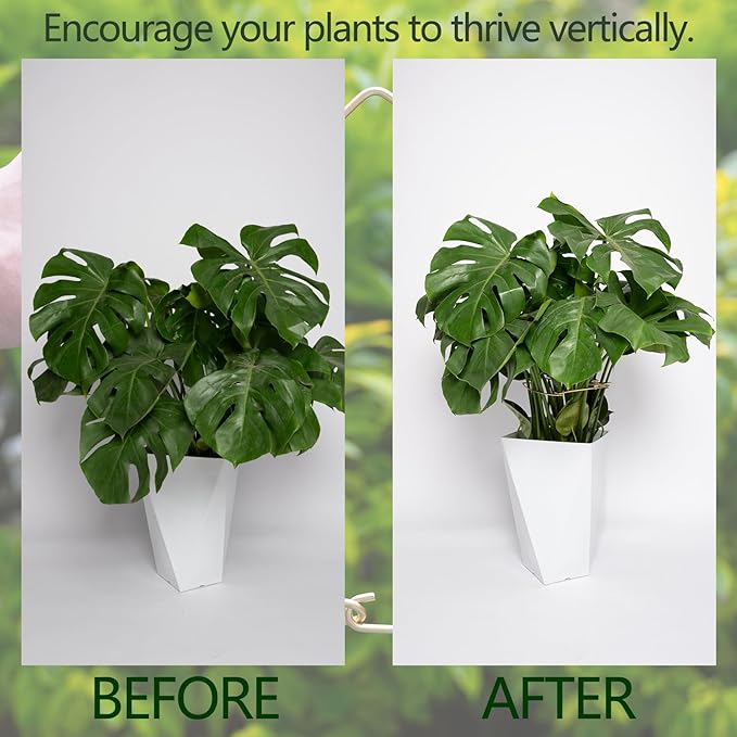 5PCS 11 * 9.4 Inch Monstera Plant Support Stem - Premium Adjustable Leaf Holder & Fishbone Cactus Stake, Durable Gardening Tool for Climbing Plants, Easy Installation & Enhanced Stability
